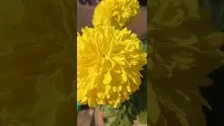 💝🌺💙🥰💖💝❤️🥰💖💝🌺🥀love