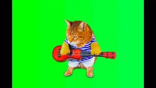 cat Giter Green screen Effect