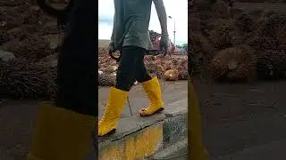 Simerah nunjukin aktraksi jungkir balik #shorts