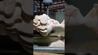3d wood carving cnc router machine