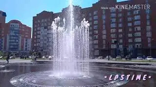 ОБЕЗЬЯНА БЕЗ ТУЛОВИЩА?
