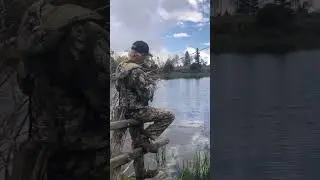 Fall Trout Fishing! #shorts