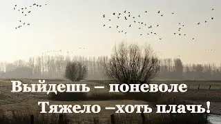 🌾 Афанасий Фет. Ласточки пропали | Стихи о природе поэтов 19 века