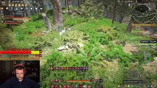 Прямая трансляция пользователя FatalSting