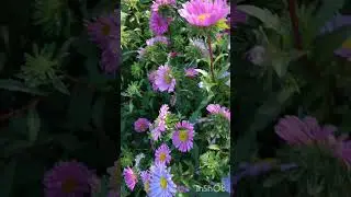 язгы,ямьле коннэр бн!👍☀️🌿🌷🌿🌷🌿🌷