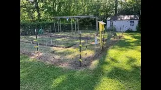 The Mostly Carnivore's Mittlieder Garden - Getting Ready to Start 2024
