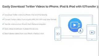 Download Video or GIF from Twitter to iPhone or PC