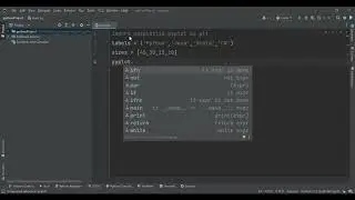 Pie Chart with the Python.