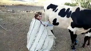 روتيني فالبادية بزي امازيغي مع عادات وتقاليد امازيغية حلبت البكرة 😂وركبت الحمار