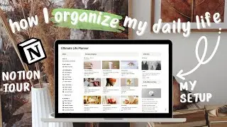 Revealing My Notion Life Planner: Organized & Automated