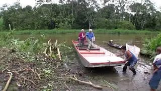 Amazon in danger!
