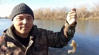 Fishing on November 23 on the Dniester / paternoster is better than makushatnik.