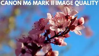 Canon M6 Mark II📸 Sample Photography - Image Quality