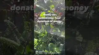 Easy nonprofit grant opportunity 