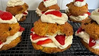 Chocolate Chip Strawberry Shortcake