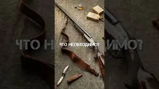 Как купить оружие в 2023 / 2024 году? 