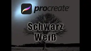 Procreate - Black & White from Photos