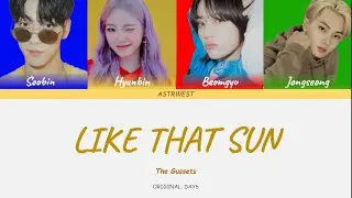 Like That Sun - The Gussets [Lyric Video]