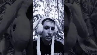 А ТЫ ПОДПИСАЛСЯ НА КАНАЛ ТЬМЫ И МРАКОТЫ!?🦝☠️ #shorts #енотт #видео