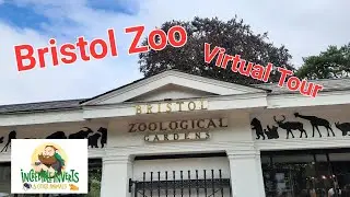 Bristol Zoo | Virtual Tour | 