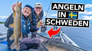Angeln auf Raubfische in Schweden 🇸🇪 Die besten Tipps für Anfänger