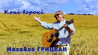 Михайло Грицкан - Коні вороні (Official Video)