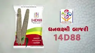 આ ઉનાળુ વાવેતર ધનલક્ષ્મી સાથે
