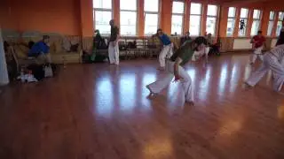 szekvencia movimento workshop