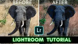 #5 || Lightroom photo editing tutorial || PicassoEditz ||