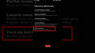 double tap power button torch on