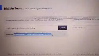Fake bitcoin transaction software!!