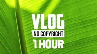 [1 Hour] - Waesto - Coconut | Vlog No Copyright Background Music