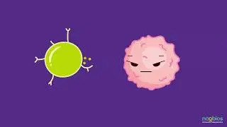 Naobios, your reliable partner for your oncolytic viruses manufacturing !