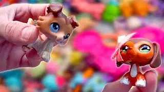 LOOKING FOR LPS AT FLEA MARKETS
