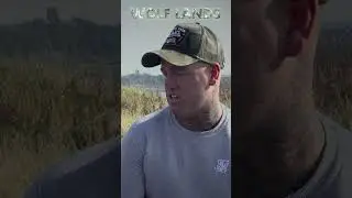 Wolf Lands Tells Of Some Incredible Accounts OF Werewolf Type Creatures 