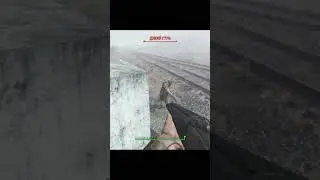 Я нашел Зойдберга в Fallout 4!! | 