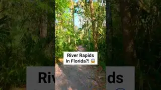 📍Hillsborough River State Park 😍 #florida #hiddengems  #floridastateparks #fl #floridatravel