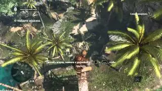Assassins Creed 4 Black Flag #1(Приключения начались!)