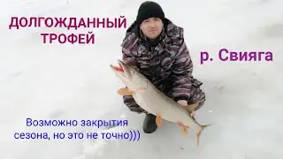 ВЕСЕННИЙ ЖОР ЩУКИ👍🏼 р. Свияга