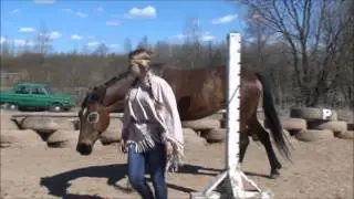 Произвольная программа. Долгорукова Саша и Фаворитка 