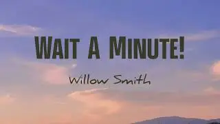 Willow Smith - Wait A Minute! (Lirik+Terjemahan) ~i think i lost my consciousness in the sixth...