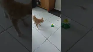 A melhor parte foi cortada