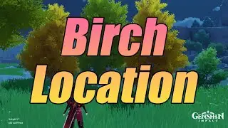 Birch Wood Look and Location Genshin Impact