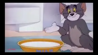 Tom and Jerry Funny Episode #12