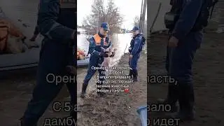 Помогите, пожалуйста, распространить 🙏🏻