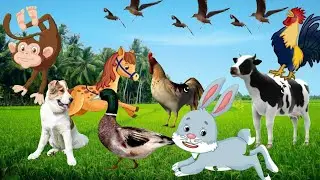 cuteness of farm animals when playing cow, horse, monkey, duck, lion, tiger, camel, rabbit
