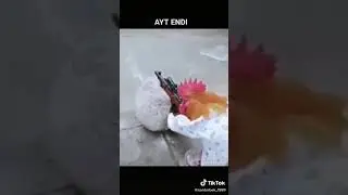 БАРЧИНОЙ БЕКОР КИПСАНДА УЛДИНГ🤣🤣🤣🤣