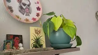 Stylized Transitions with OpenShot