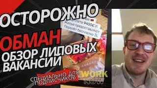 Прямой эфир Work Now: Ответы на ваши вопросы и разоблачение обмана в вакансиях!