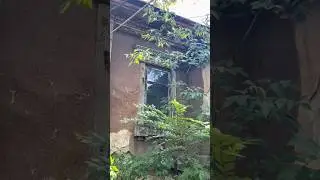 Старейшее предприятие в Алматы